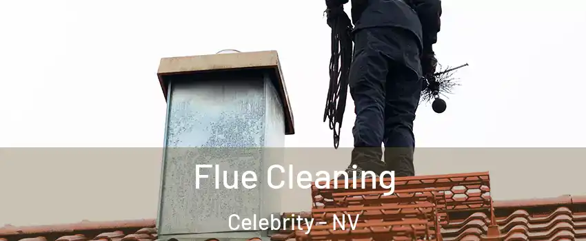 Flue Cleaning Celebrity - NV