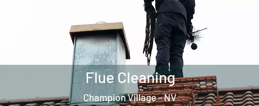 Flue Cleaning Champion Village - NV