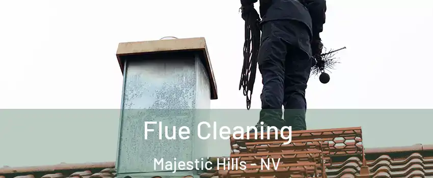 Flue Cleaning Majestic Hills - NV