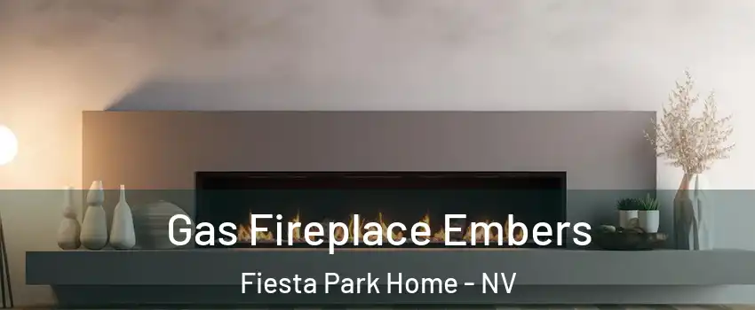 Gas Fireplace Embers Fiesta Park Home - NV