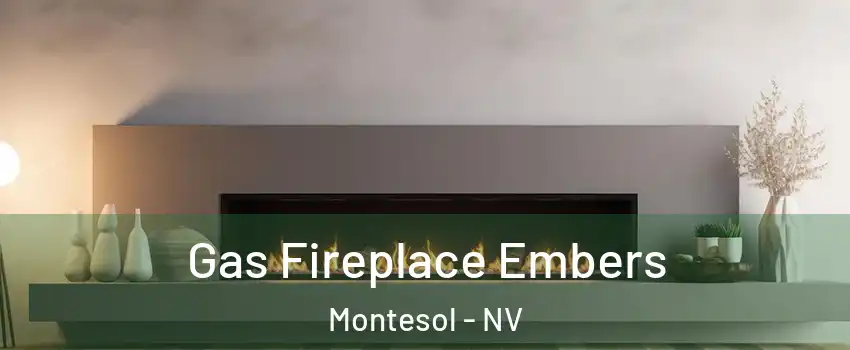 Gas Fireplace Embers Montesol - NV