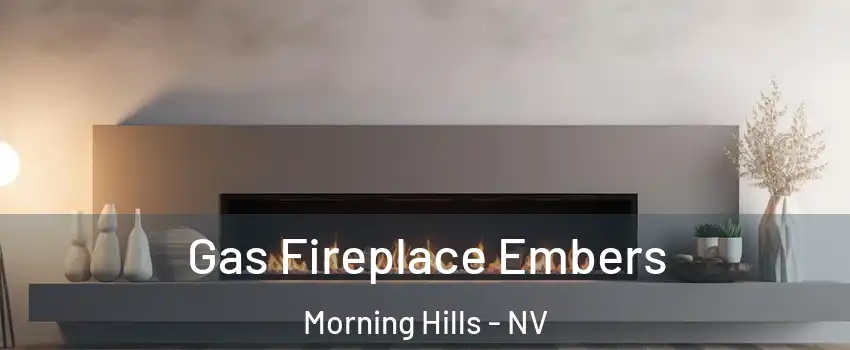 Gas Fireplace Embers Morning Hills - NV