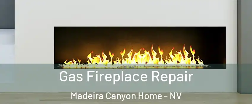 Gas Fireplace Repair Madeira Canyon Home - NV