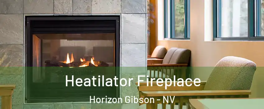 Heatilator Fireplace Horizon Gibson - NV