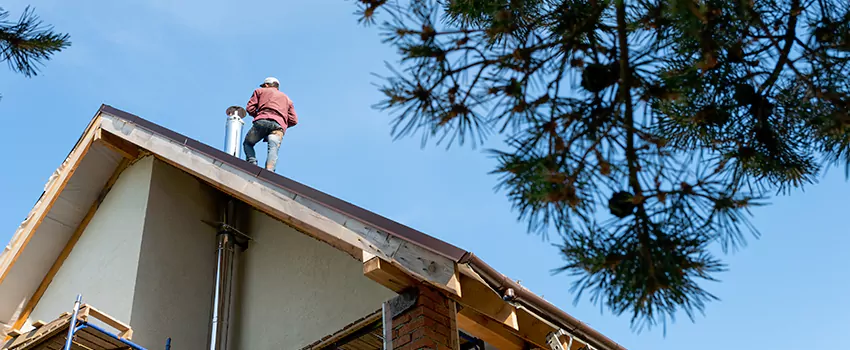 Birds Removal Contractors from Chimney in Naples, NV