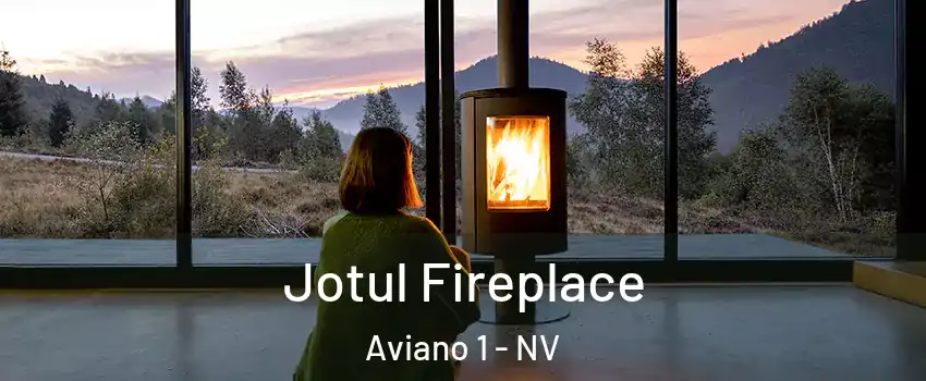 Jotul Fireplace Aviano 1 - NV