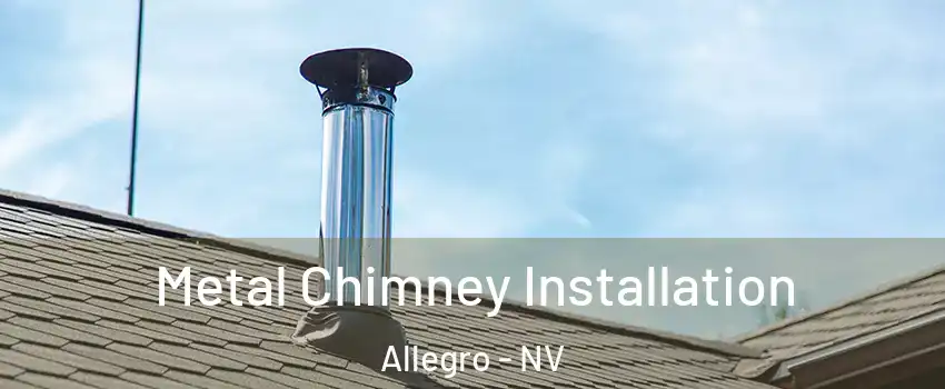 Metal Chimney Installation Allegro - NV