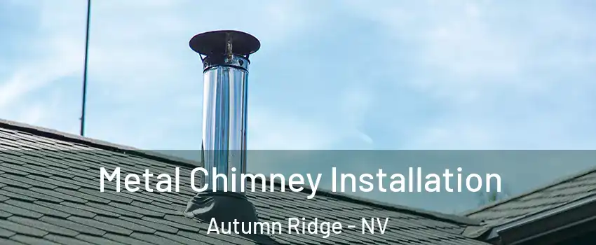 Metal Chimney Installation Autumn Ridge - NV