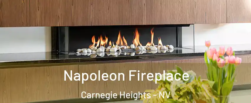 Napoleon Fireplace Carnegie Heights - NV