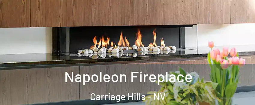 Napoleon Fireplace Carriage Hills - NV