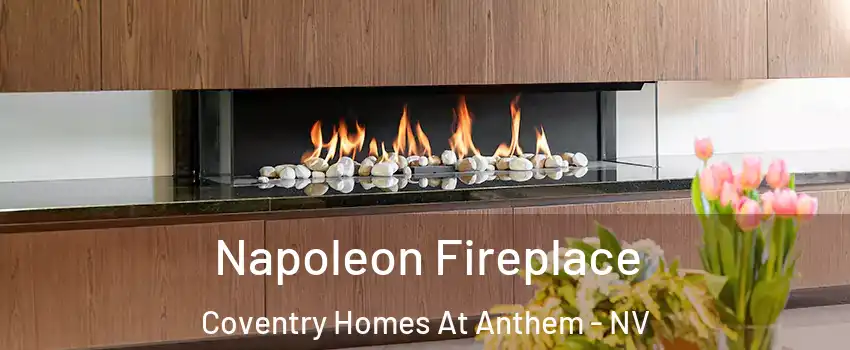 Napoleon Fireplace Coventry Homes At Anthem - NV