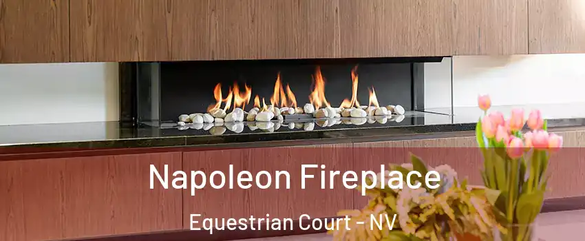 Napoleon Fireplace Equestrian Court - NV