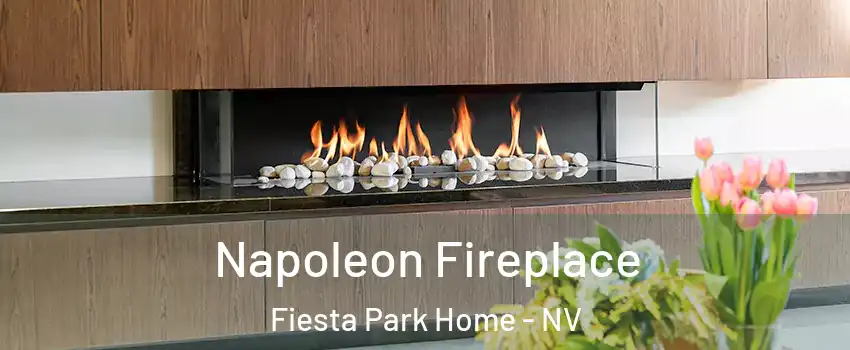 Napoleon Fireplace Fiesta Park Home - NV