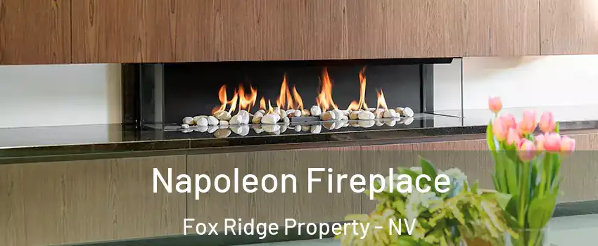 Napoleon Fireplace Fox Ridge Property - NV