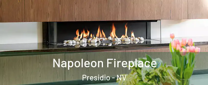 Napoleon Fireplace Presidio - NV