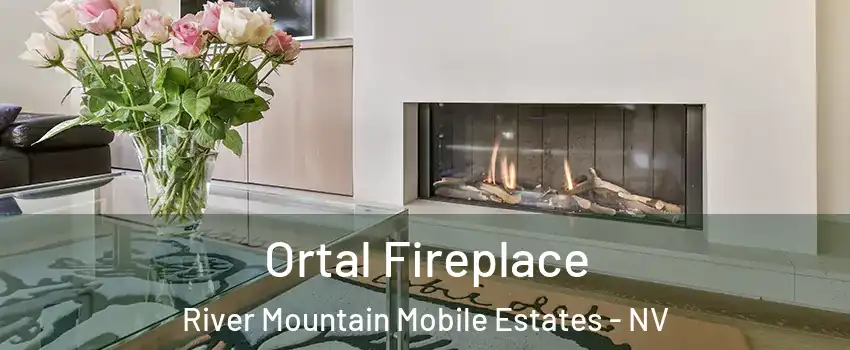 Ortal Fireplace River Mountain Mobile Estates - NV