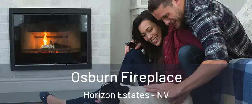 Osburn Fireplace Horizon Estates - NV