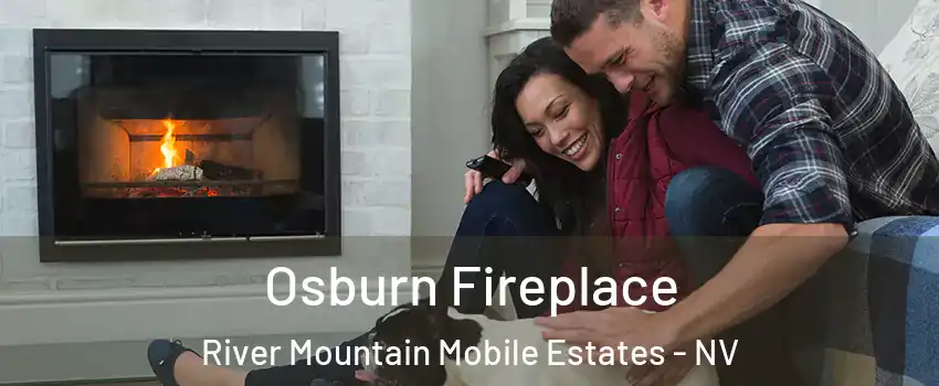 Osburn Fireplace River Mountain Mobile Estates - NV