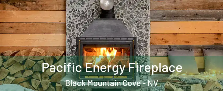 Pacific Energy Fireplace Black Mountain Cove - NV