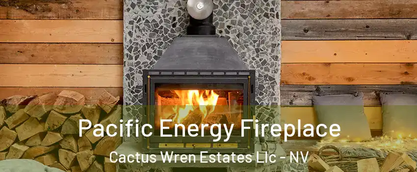 Pacific Energy Fireplace Cactus Wren Estates Llc - NV