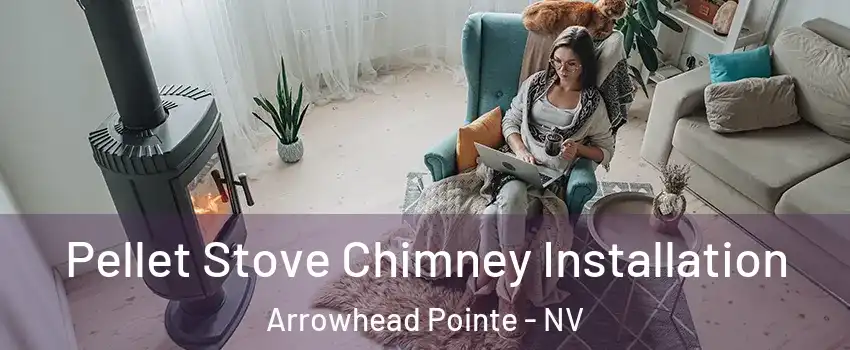 Pellet Stove Chimney Installation Arrowhead Pointe - NV