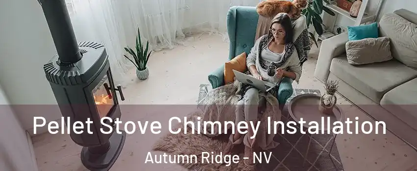 Pellet Stove Chimney Installation Autumn Ridge - NV