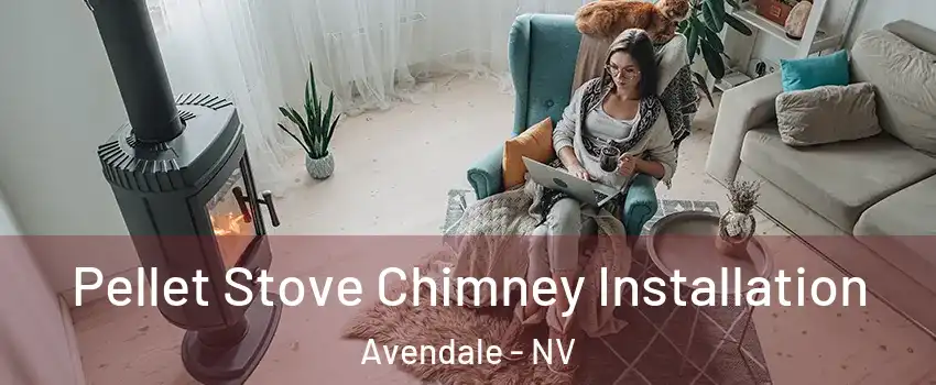 Pellet Stove Chimney Installation Avendale - NV