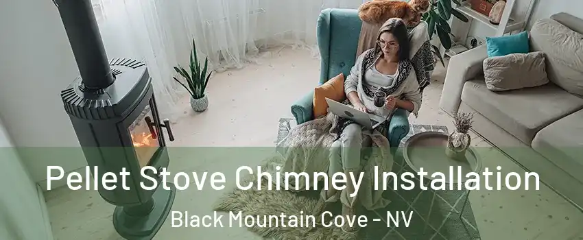 Pellet Stove Chimney Installation Black Mountain Cove - NV