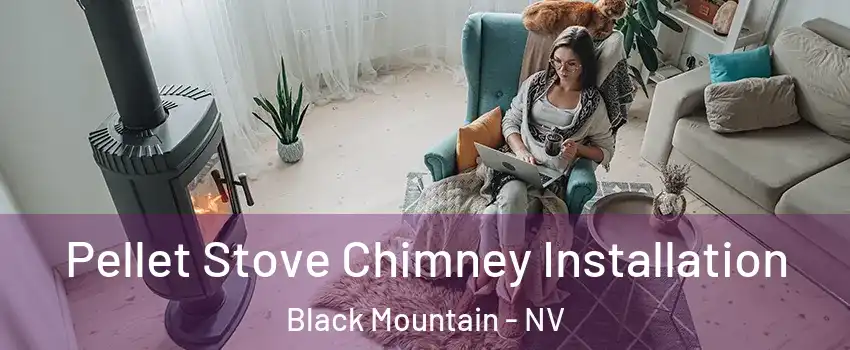 Pellet Stove Chimney Installation Black Mountain - NV