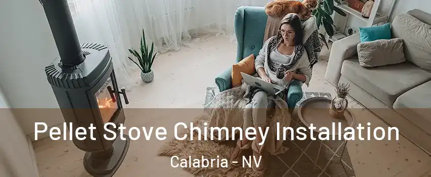 Pellet Stove Chimney Installation Calabria - NV