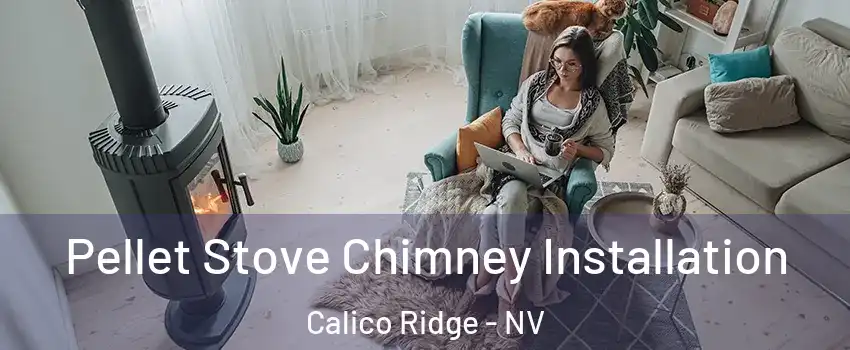 Pellet Stove Chimney Installation Calico Ridge - NV