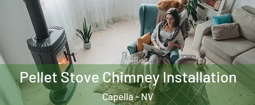 Pellet Stove Chimney Installation Capella - NV