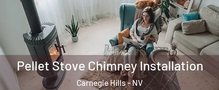 Pellet Stove Chimney Installation Carnegie Hills - NV