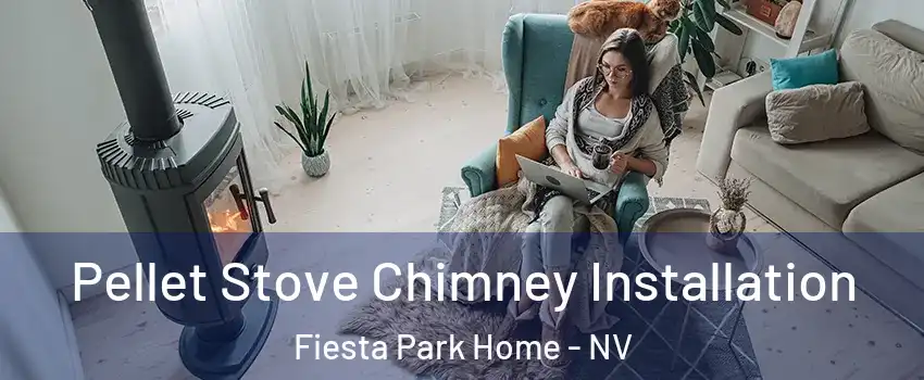 Pellet Stove Chimney Installation Fiesta Park Home - NV