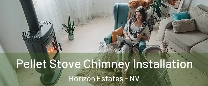 Pellet Stove Chimney Installation Horizon Estates - NV