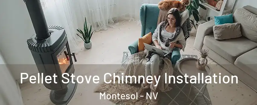 Pellet Stove Chimney Installation Montesol - NV