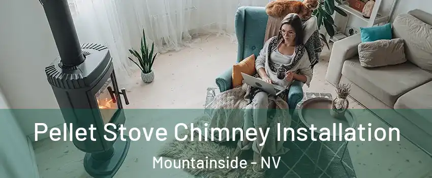 Pellet Stove Chimney Installation Mountainside - NV