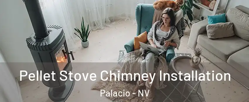 Pellet Stove Chimney Installation Palacio - NV