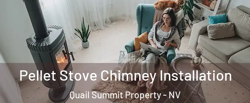 Pellet Stove Chimney Installation Quail Summit Property - NV