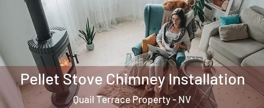 Pellet Stove Chimney Installation Quail Terrace Property - NV