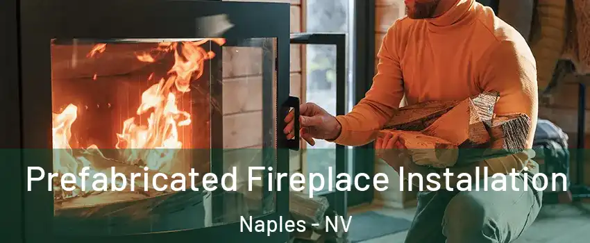 Prefabricated Fireplace Installation Naples - NV