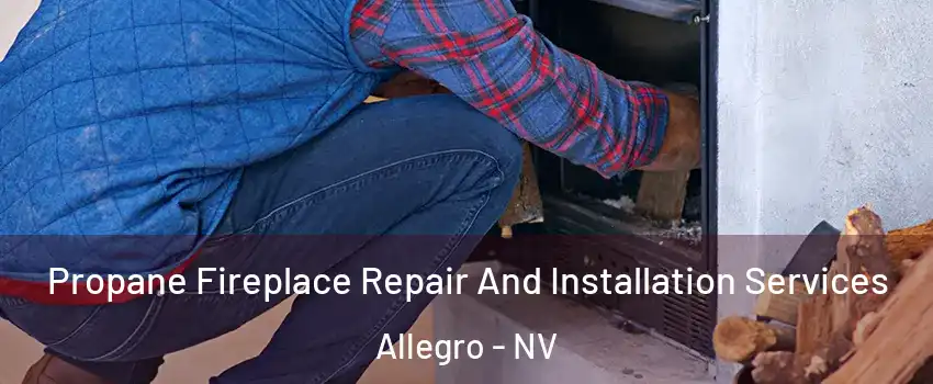 Propane Fireplace Repair And Installation Services Allegro - NV