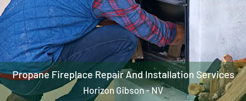 Propane Fireplace Repair And Installation Services Horizon Gibson - NV