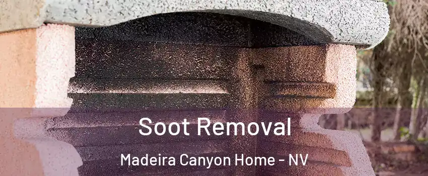 Soot Removal Madeira Canyon Home - NV