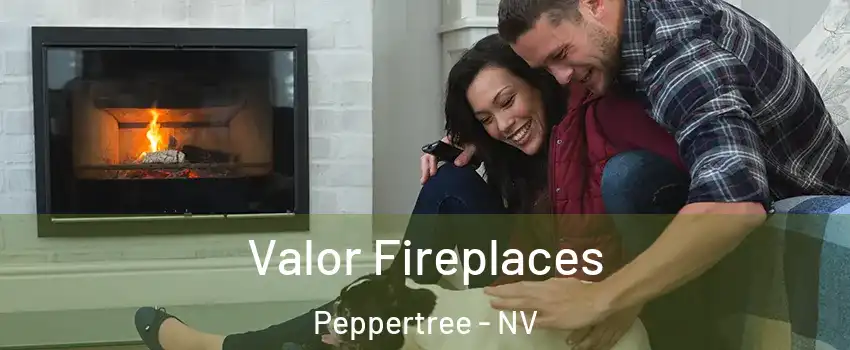 Valor Fireplaces Peppertree - NV