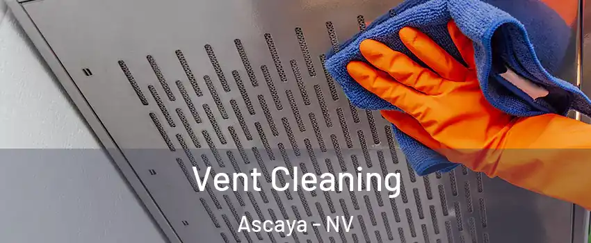 Vent Cleaning Ascaya - NV