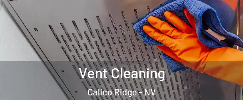 Vent Cleaning Calico Ridge - NV