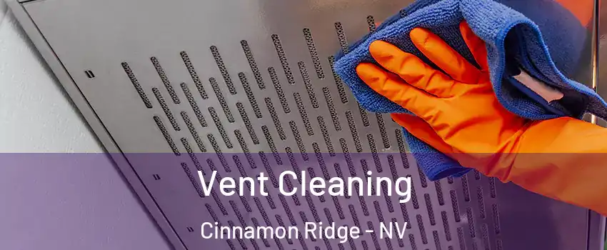 Vent Cleaning Cinnamon Ridge - NV