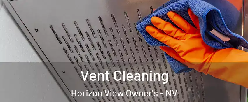 Vent Cleaning Horizon View Owner's - NV