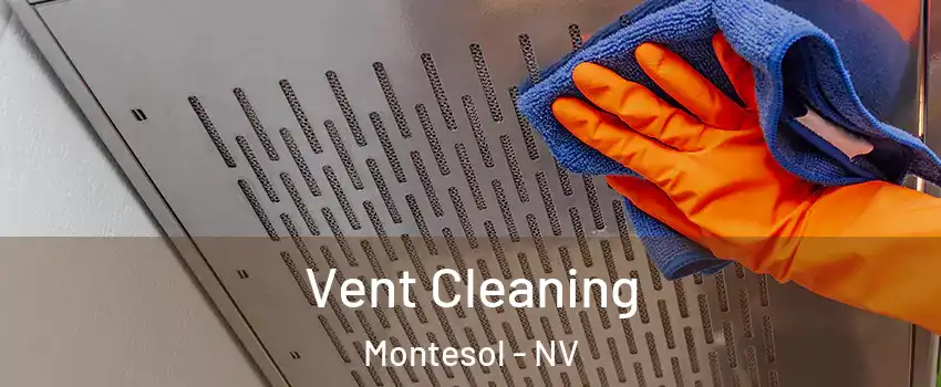 Vent Cleaning Montesol - NV